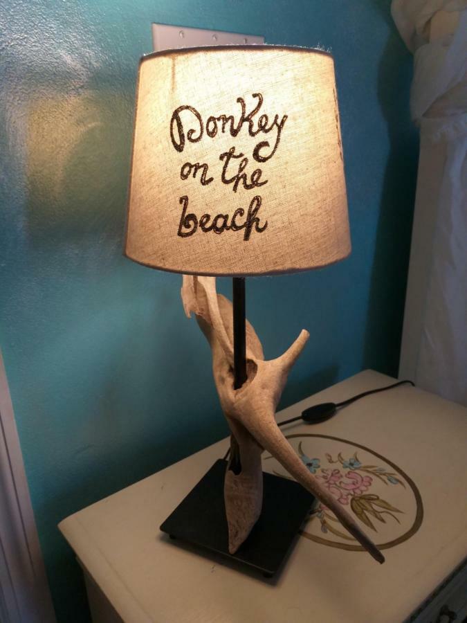 Donkey On The Beach Cobbs Cross Екстериор снимка